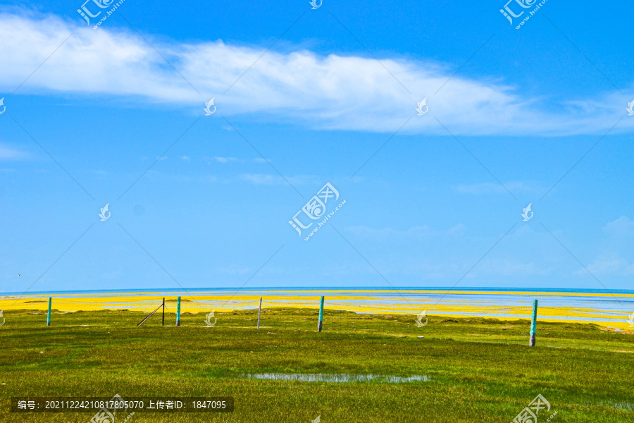 青海草原风光