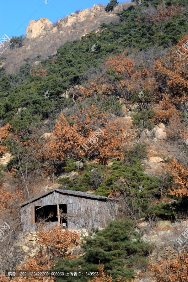 悬崖下的小屋