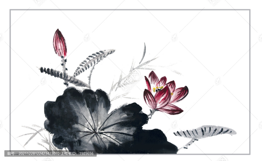 國花荷花