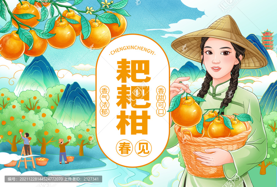 耙耙柑插畫