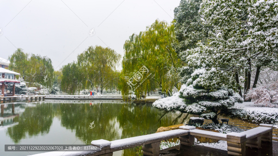 南方雪景