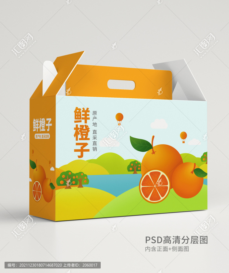 橙子橘子插畫包裝
