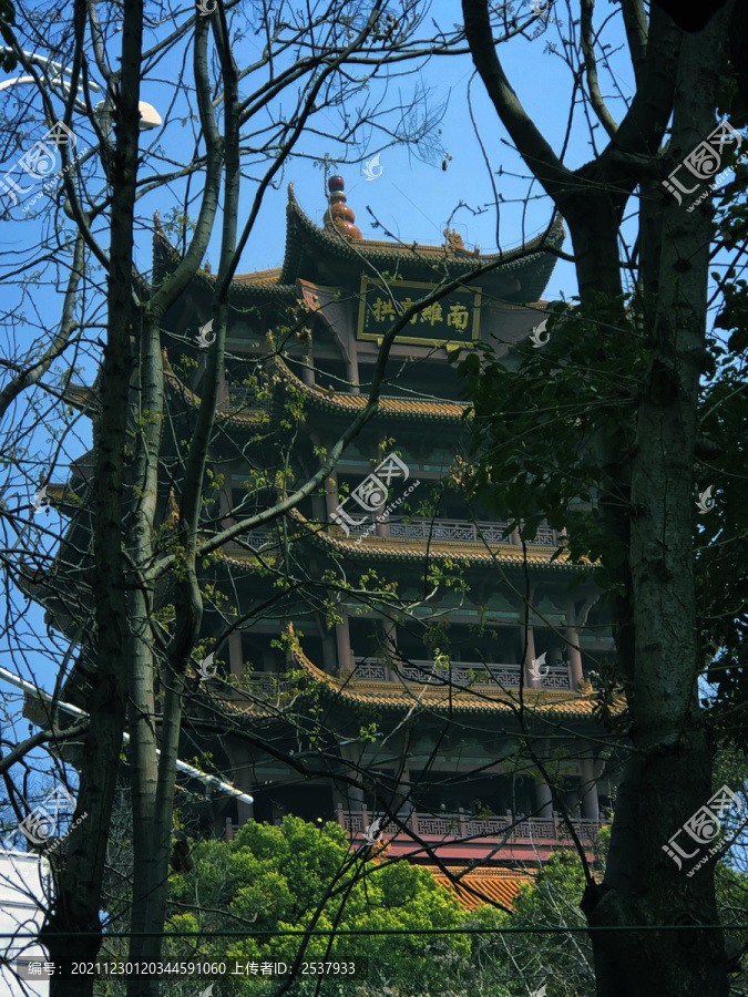 寺庙前树林风景图片