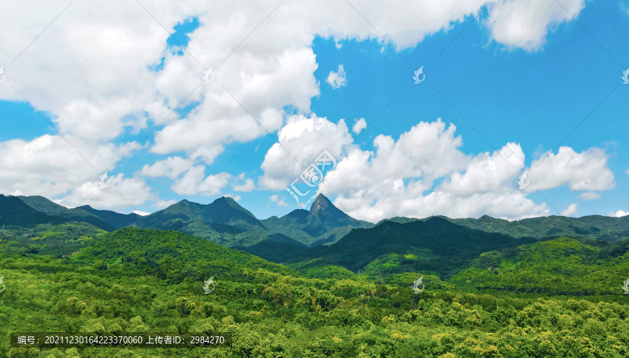 海南乐东尖峰岭国家森林公园