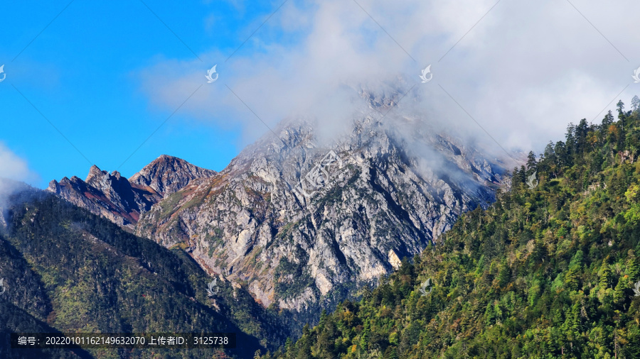 白马雪山自然保护区