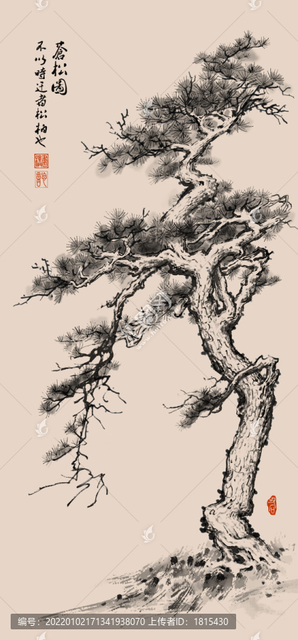 蒼松分層素材國畫水墨