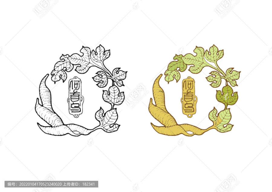 何首烏手繪