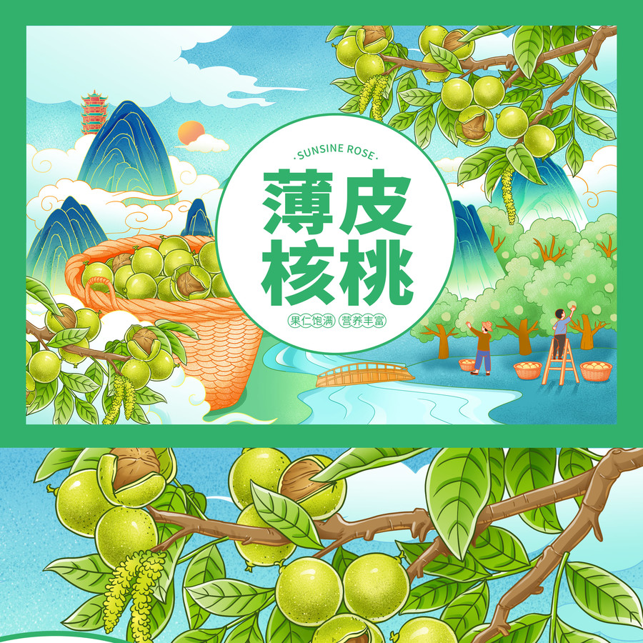 核桃插畫包裝