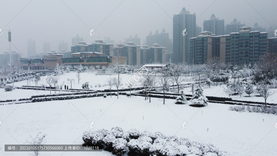 公园雪景