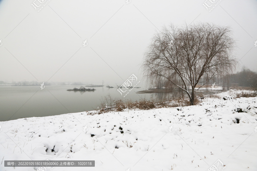 公园雪景