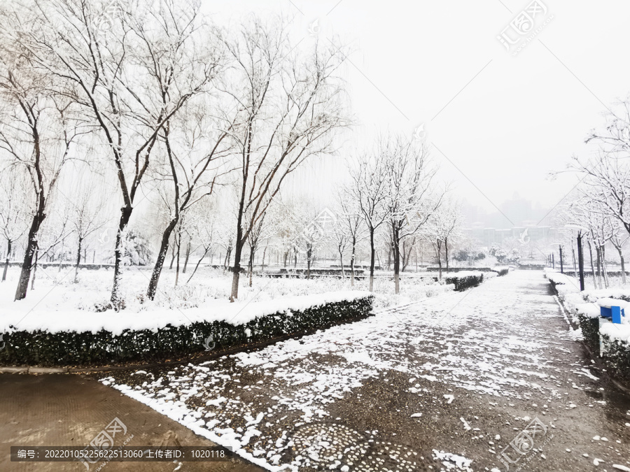 公园雪景