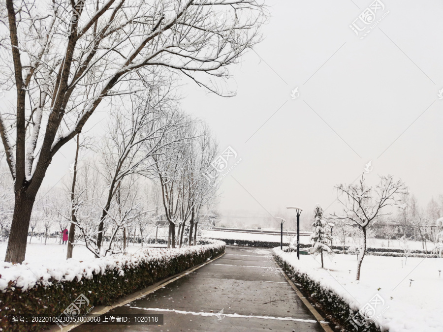 公园的雪景