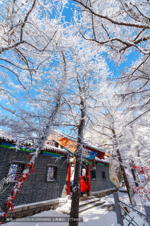 青岛崂山雪后晶挂雾凇