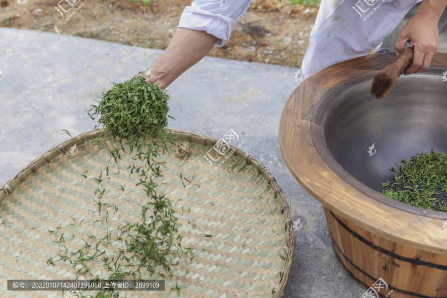 宜宾鹿鸣茶业手工制茶