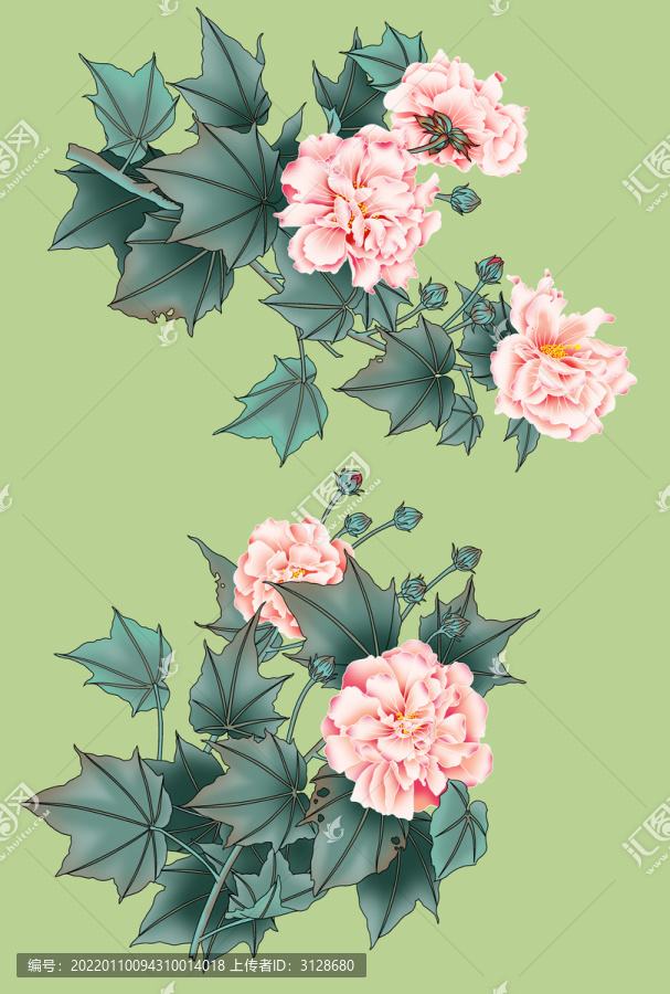 芙蓉花