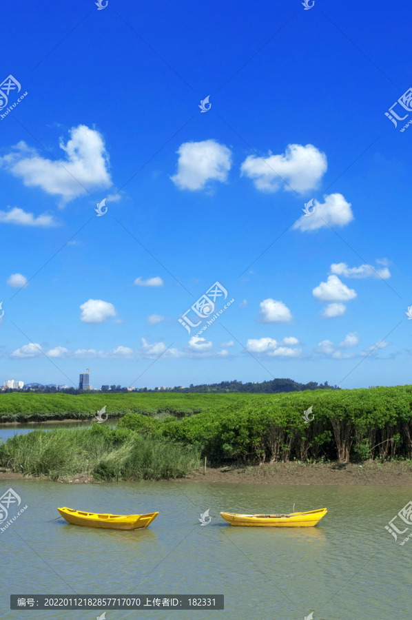 洛阳桥湿地风景