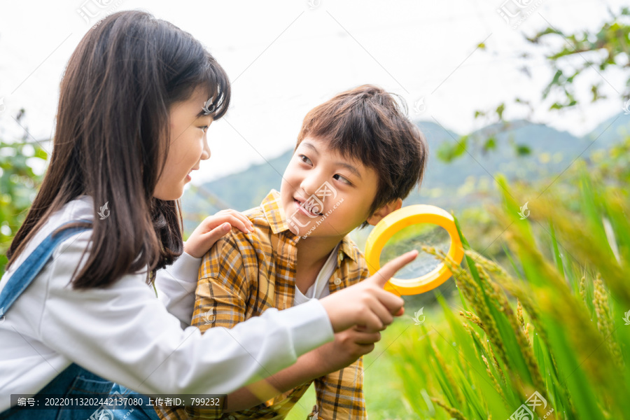 小朋友拿着放大镜观察植物