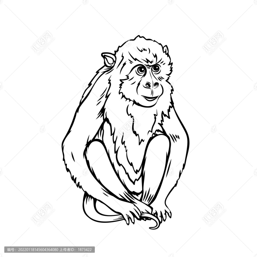 黑色手繪長(zhǎng)臂猴子插圖