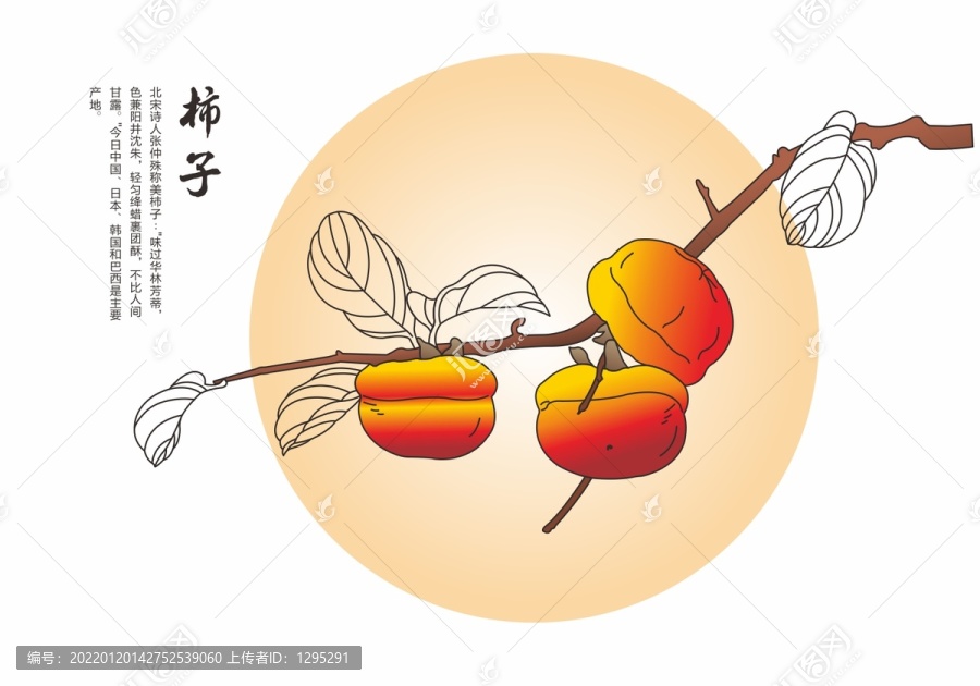 柿子手繪