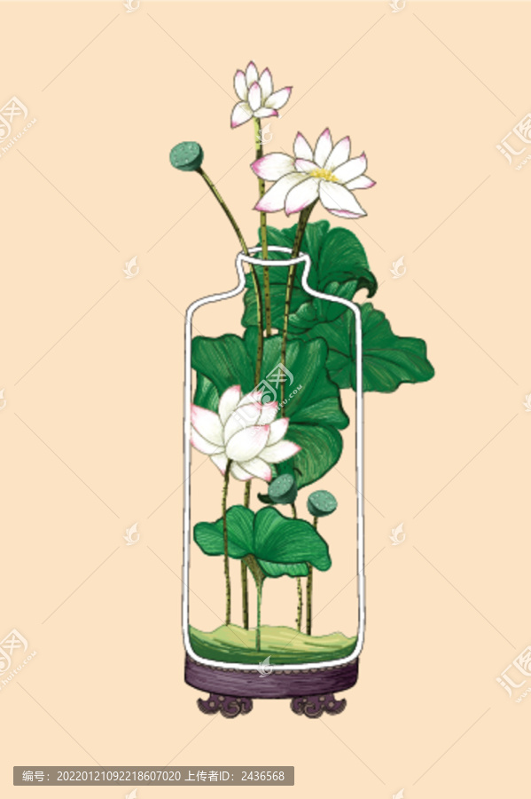 荷花