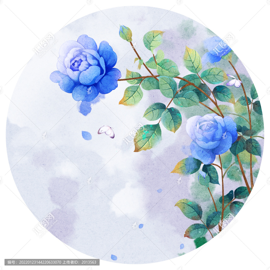 藍色月季插畫