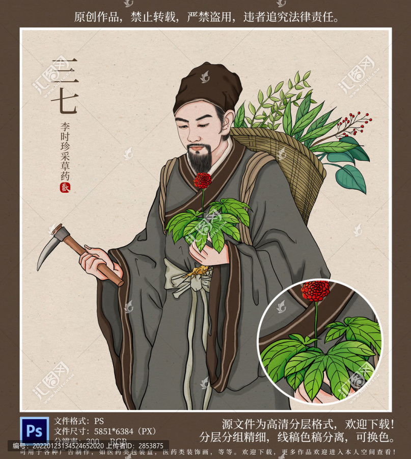 李時珍采三七