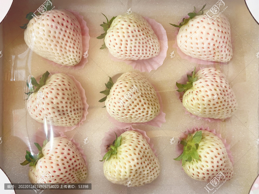 白草莓淡雪公主