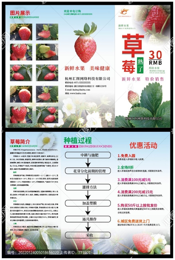 草莓三折頁
