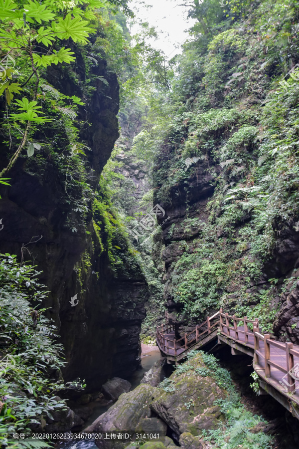 万盛黑山谷峡谷