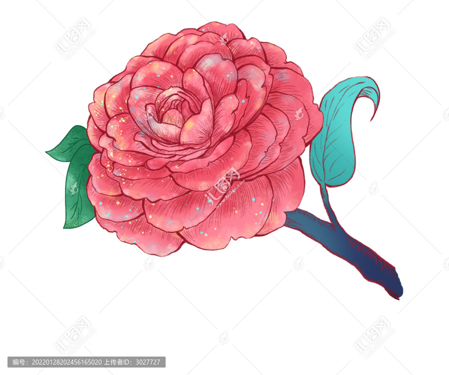 山茶花花朵花卉