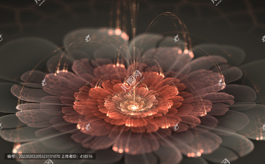 花朵