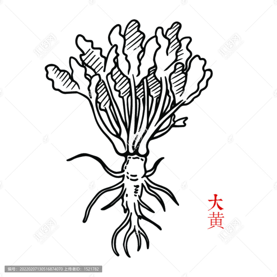 大黃
