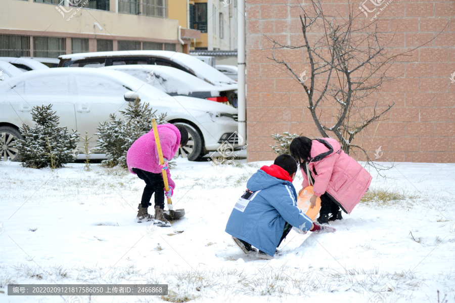 雪趣