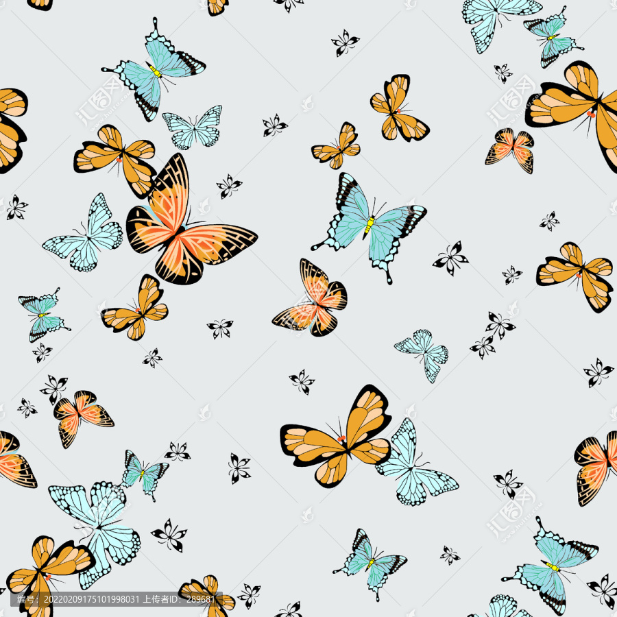 蝴蝶印花设计图