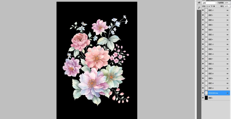 手繪牡丹花