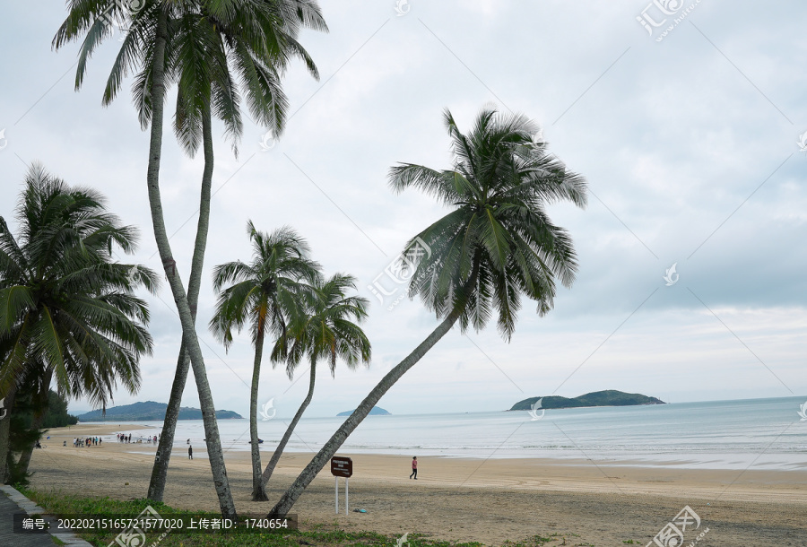 海边椰子树石梅湾