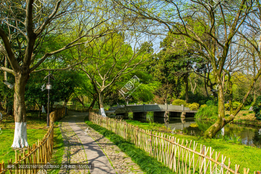 公园小路