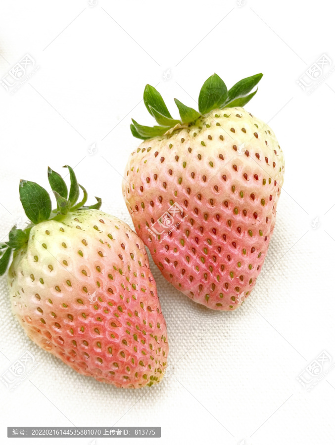 两颗白草莓