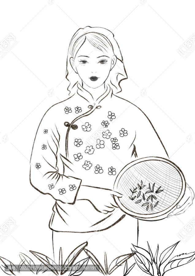 采茶女線稿