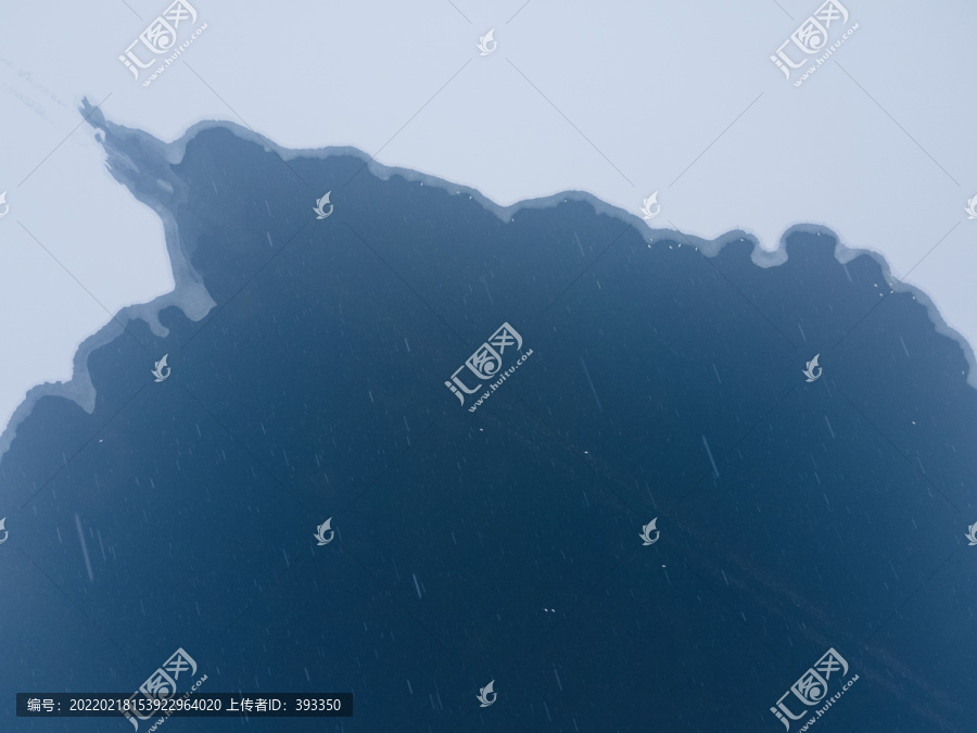雪中的天鵝