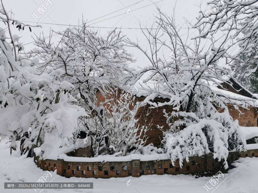 大树与老房子乡村雪景