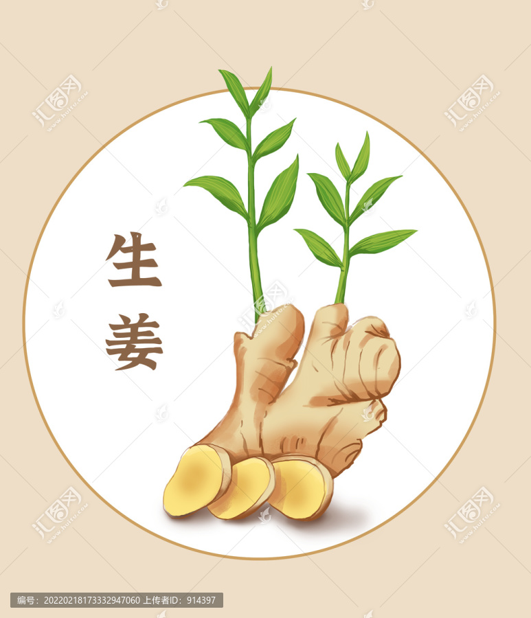 生姜手繪圖案
