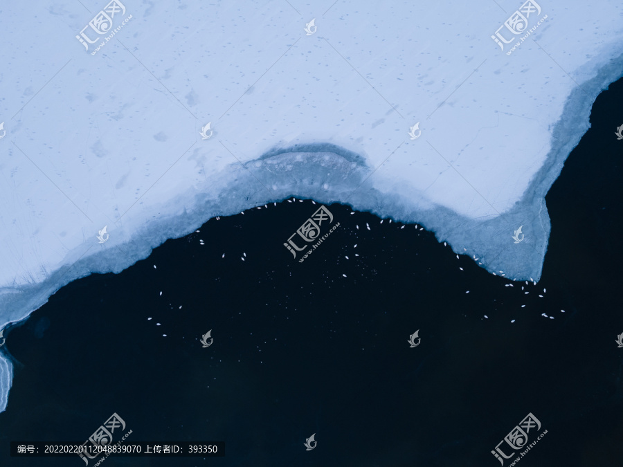 天鵝湖