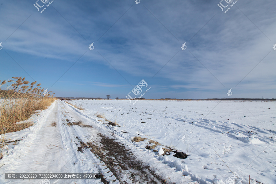 白雪覆盖的大地