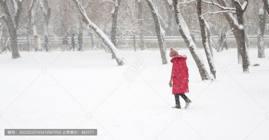 雪中行