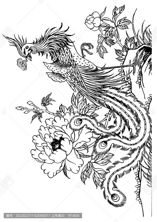 鳳穿牡丹AI矢量圖