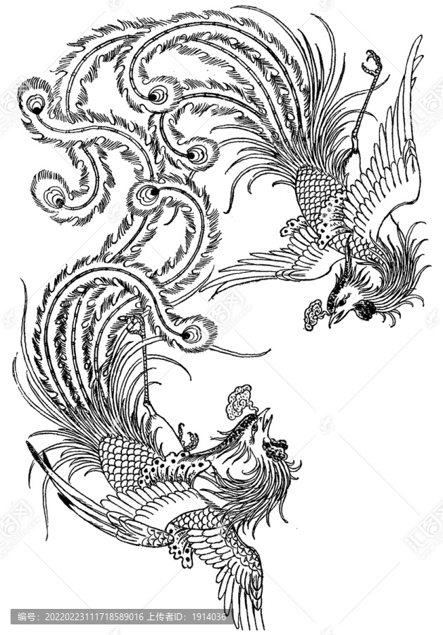 雙鳳AI矢量圖