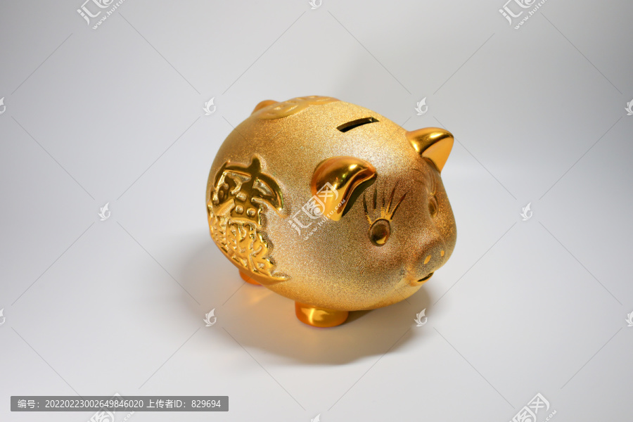 金猪