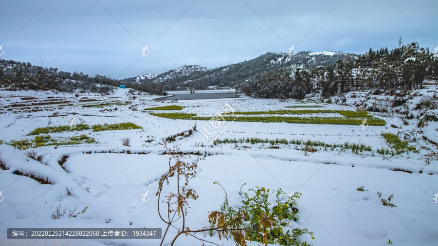 云南大雪