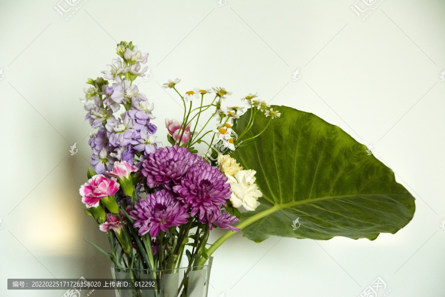 菊花与紫罗兰插瓶
